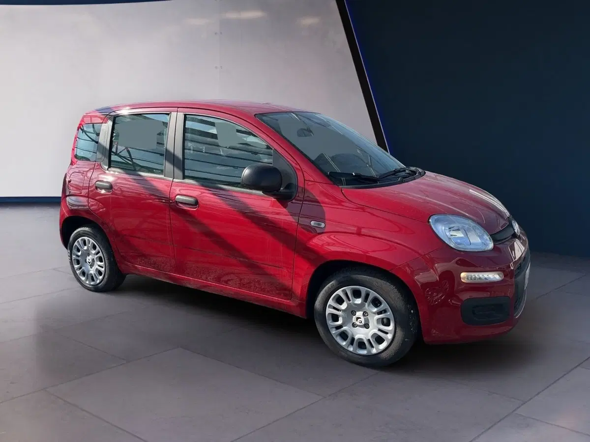 Fiat Panda Cross usata a Torino (3)