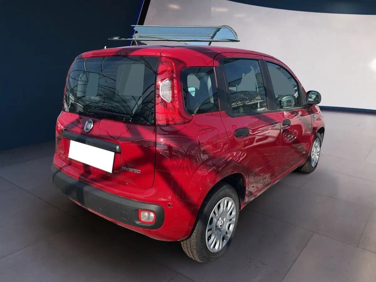 Fiat Panda Cross usata a Torino (4)