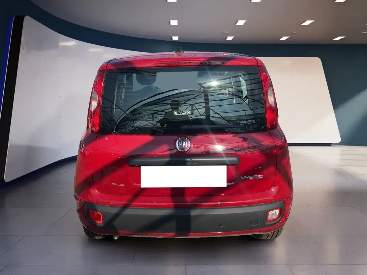 Fiat Panda Cross usata a Torino (5)
