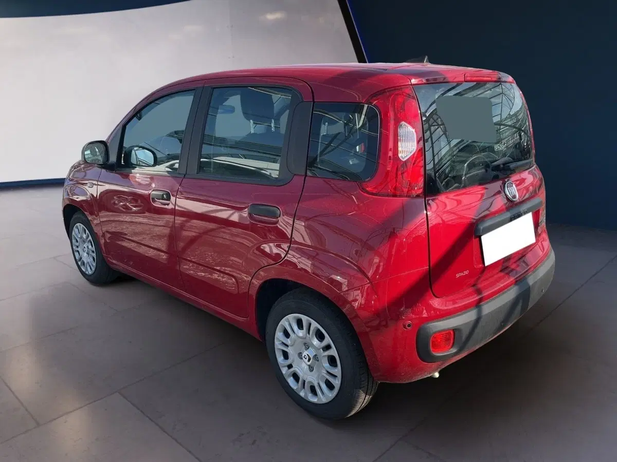 Fiat Panda Cross usata a Torino (6)