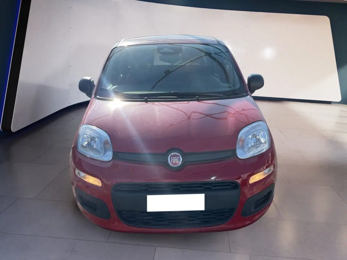 Fiat Panda Cross usata a Torino