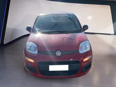 Fiat Panda Cross Cross 1.0 FireFly S&S Hybrid del 2025 usata a Torino