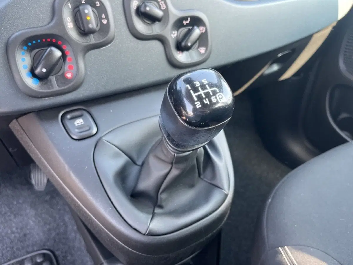 Fiat Panda Cross usata a Torino (11)