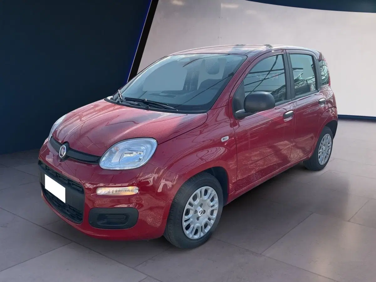 Fiat Panda Cross usata a Torino (2)