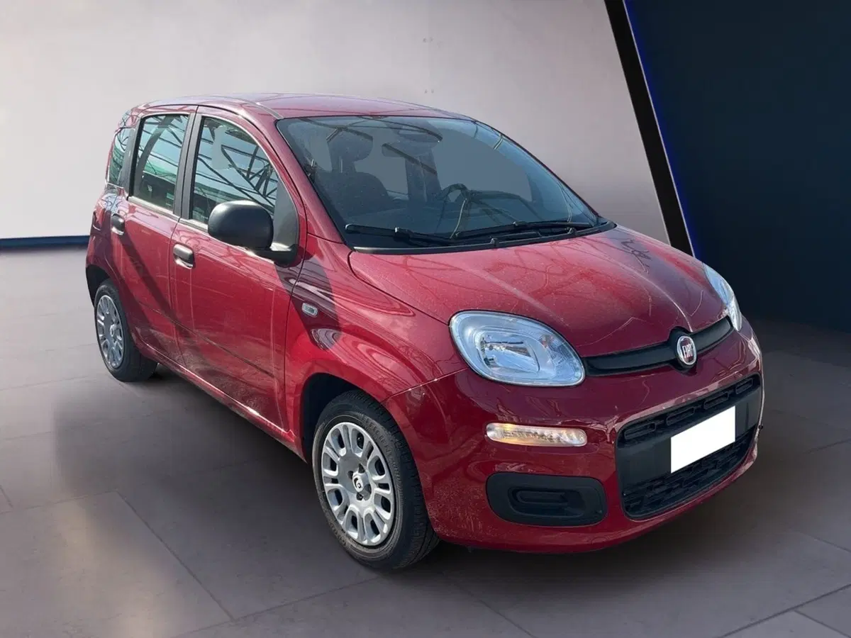 Fiat Panda Cross usata a Torino (3)