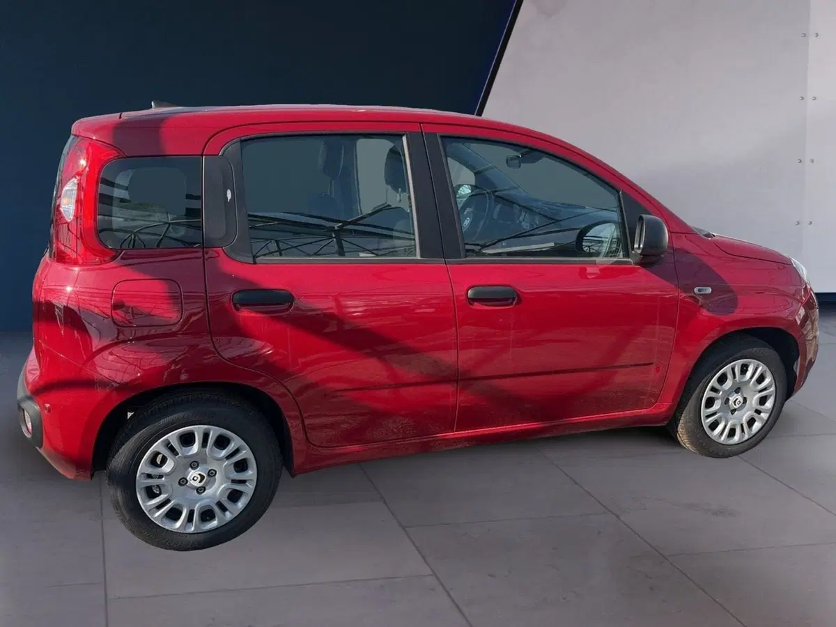 Fiat Panda Cross usata a Torino (4)