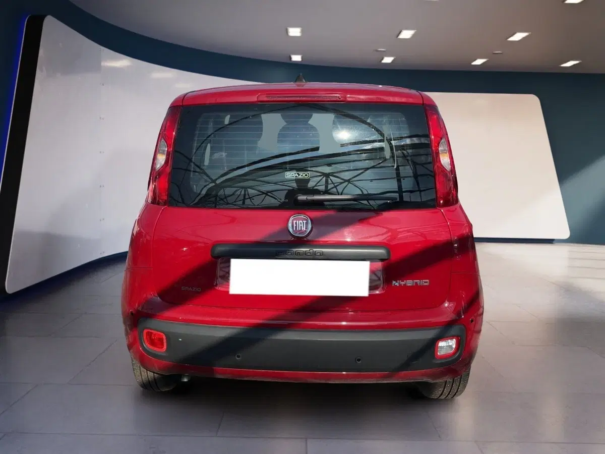 Fiat Panda Cross usata a Torino (5)