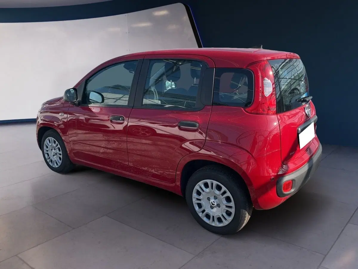 Fiat Panda Cross usata a Torino (6)