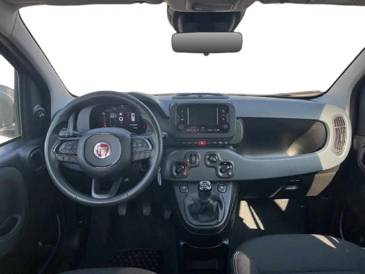 Fiat Panda Cross usata a Torino (9)
