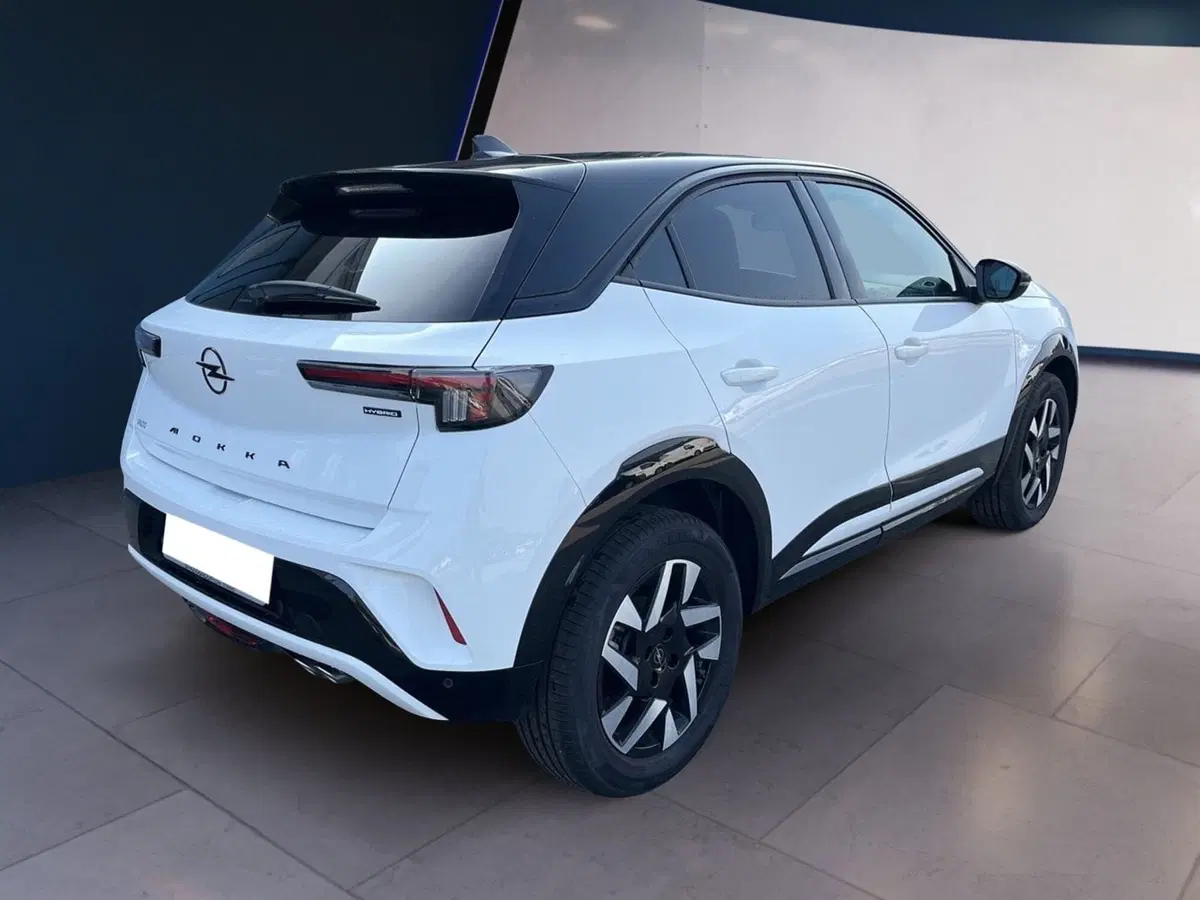 Opel Mokka usata a Torino (4)