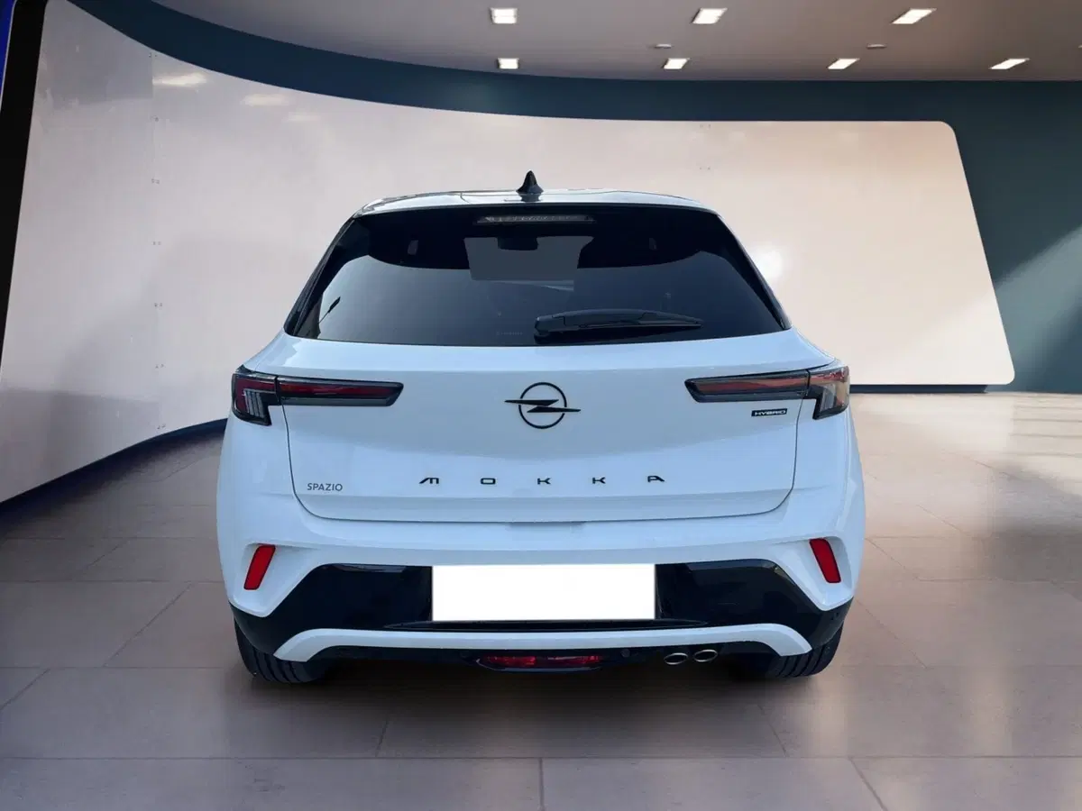 Opel Mokka usata a Torino (5)