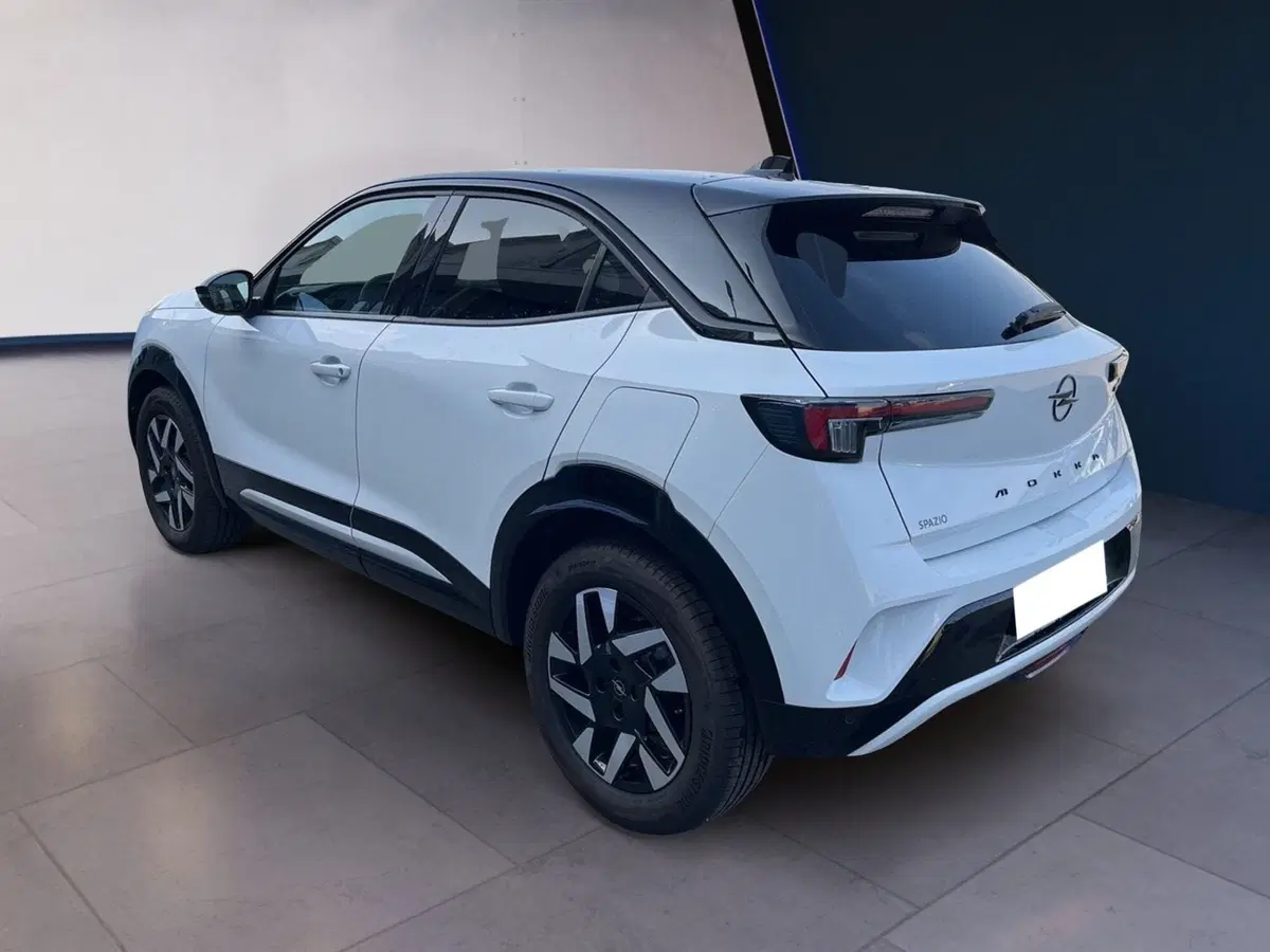 Opel Mokka usata a Torino (6)