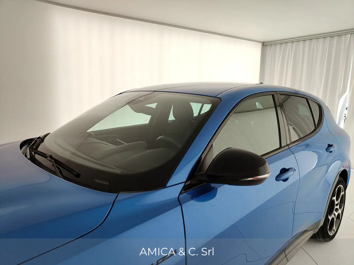 Alfa Romeo Tonale usata a Caserta (13)