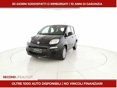 Fiat Pandina 1.0 firefly hybrid Icon s&s 65cv 5p.ti del 2025 usata a San Giovanni Teatino