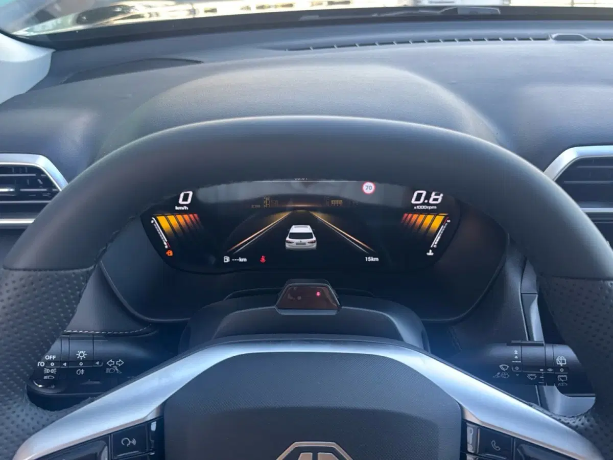 Mg ZS nuova a Ferrara (13)