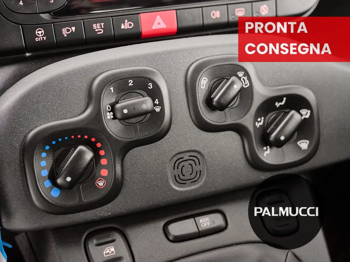 Fiat Panda Cross usata a Prato (13)