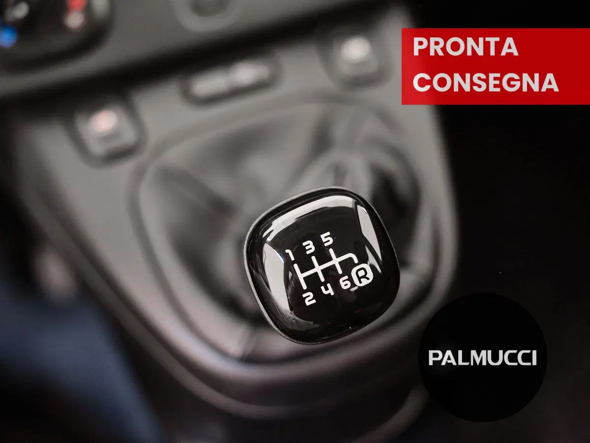 Fiat Panda Cross usata a Prato (17)
