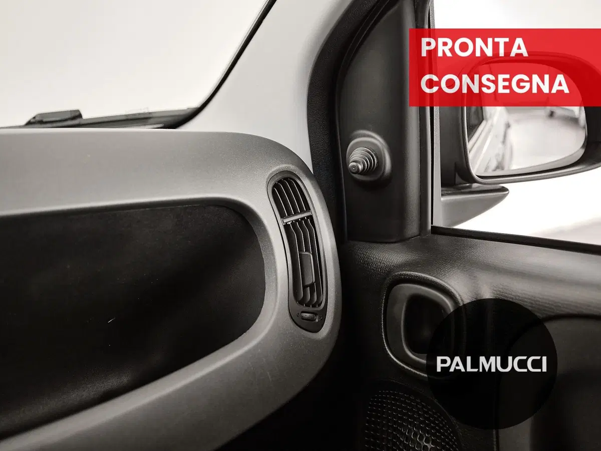 Fiat Panda Cross usata a Prato (18)