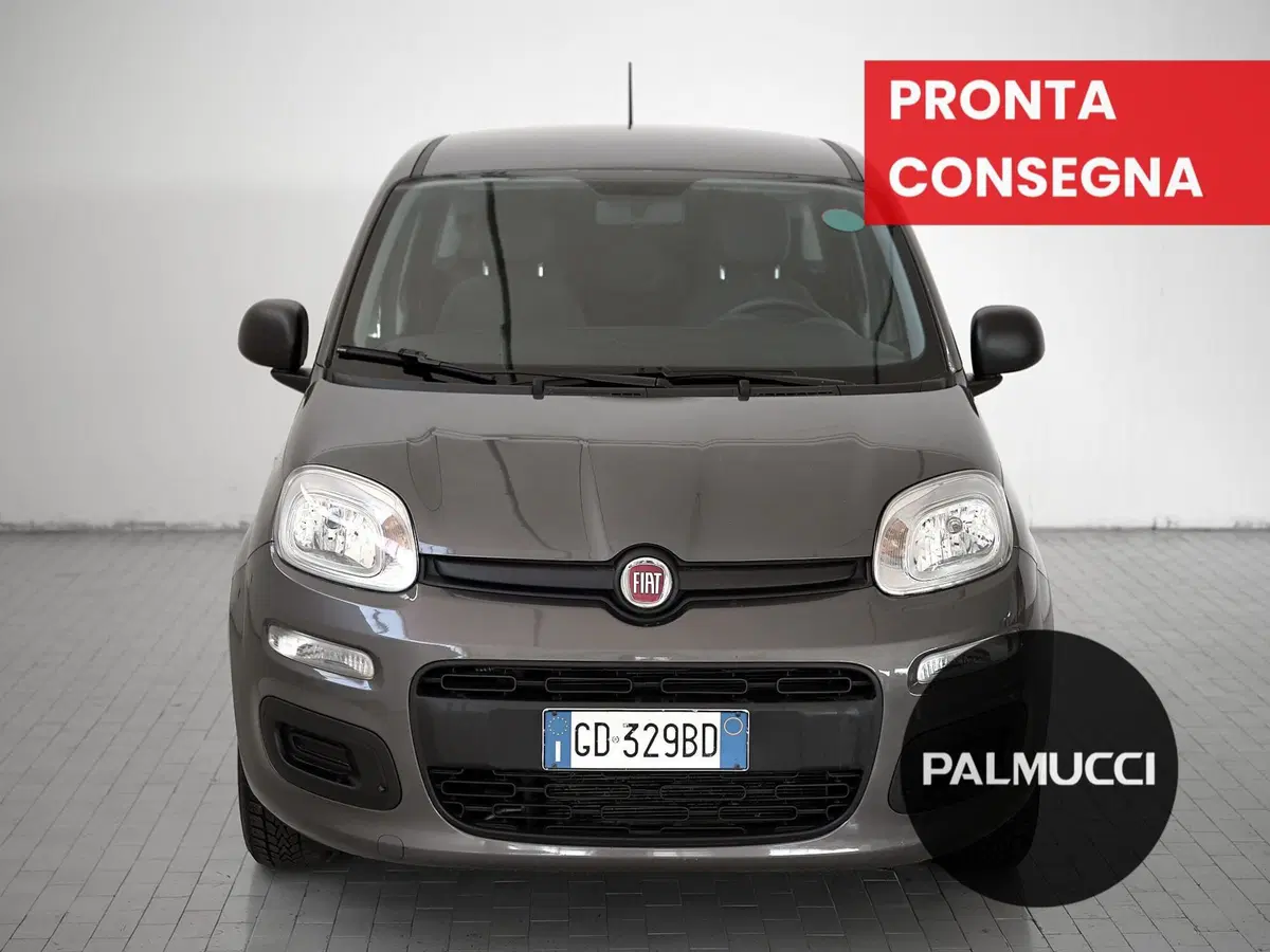 Fiat Panda Cross usata a Prato (2)