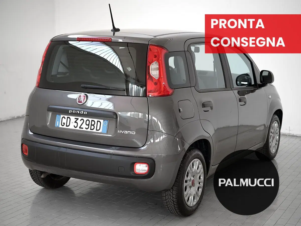 Fiat Panda Cross usata a Prato (3)