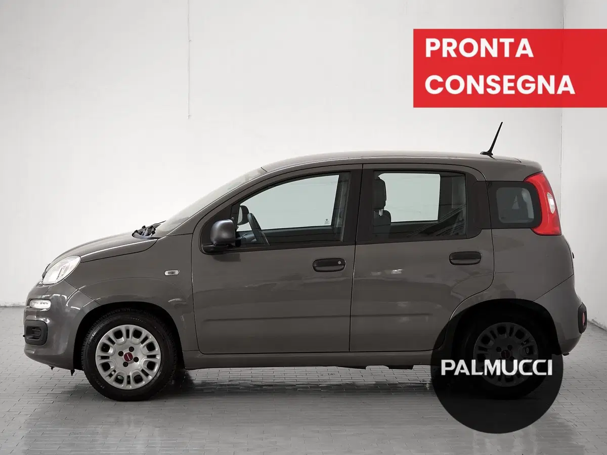 Fiat Panda Cross usata a Prato (4)