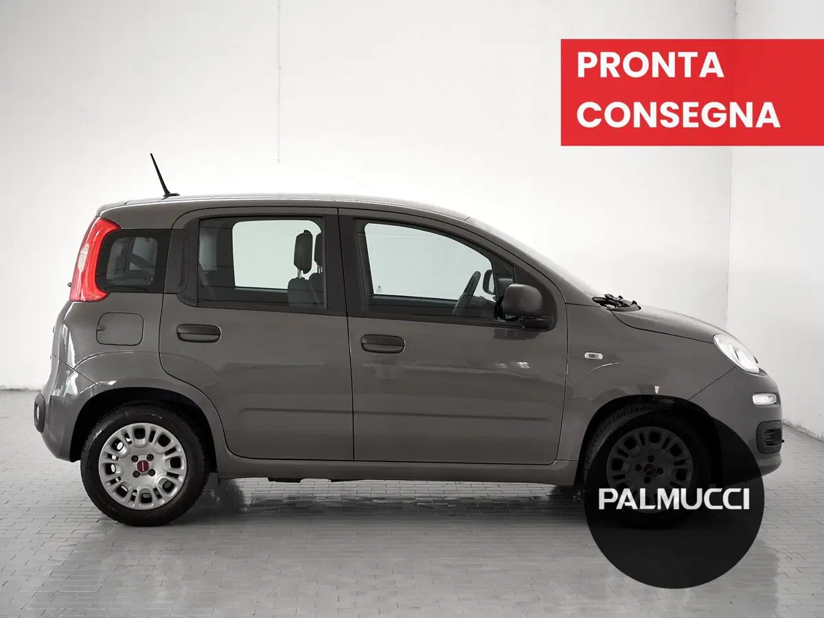 Fiat Panda Cross usata a Prato (5)