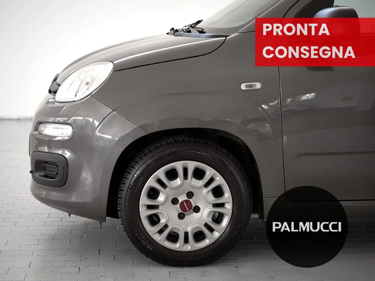 Fiat Panda Cross usata a Prato (6)