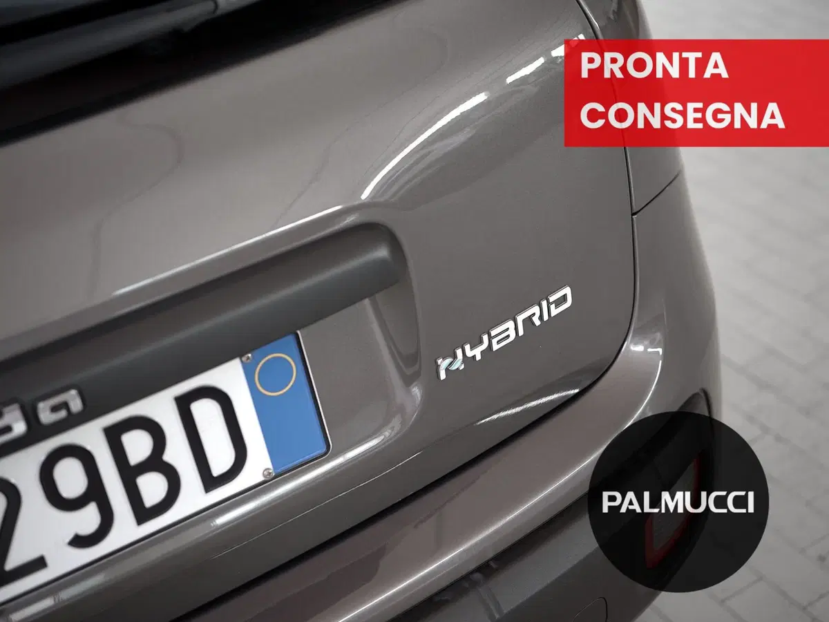 Fiat Panda Cross usata a Prato (7)