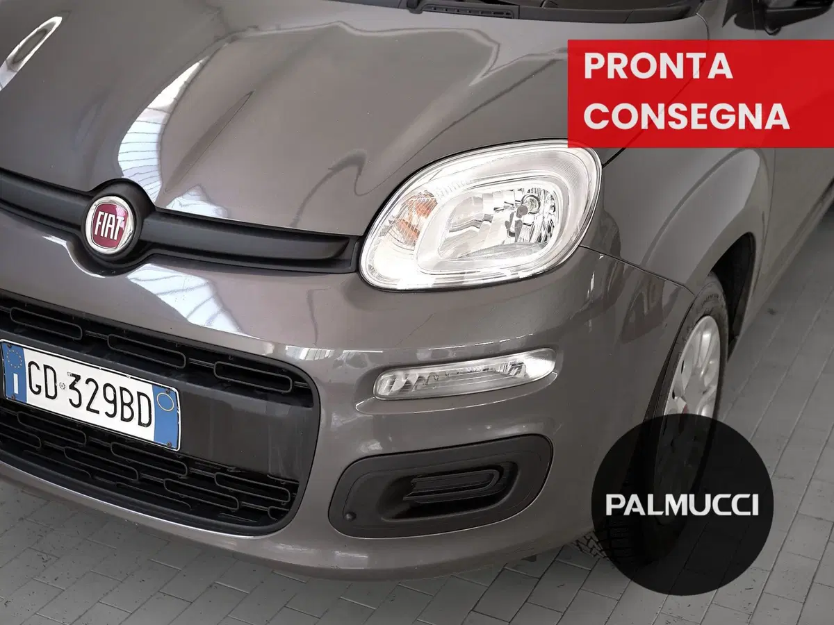Fiat Panda Cross usata a Prato (8)