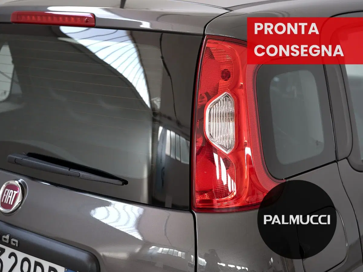 Fiat Panda Cross usata a Prato (9)