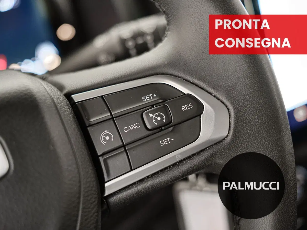 Jeep Renegade usata a Prato (19)