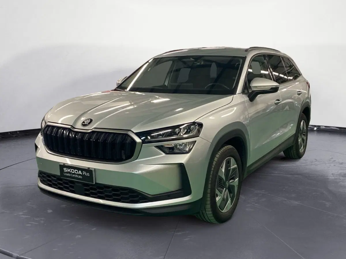 Skoda Kodiaq usata a Reggio Calabria