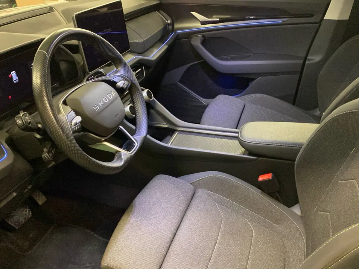 Skoda Kodiaq usata a Reggio Calabria (14)