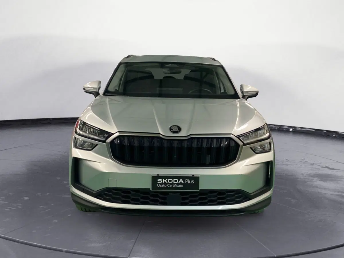 Skoda Kodiaq usata a Reggio Calabria (2)