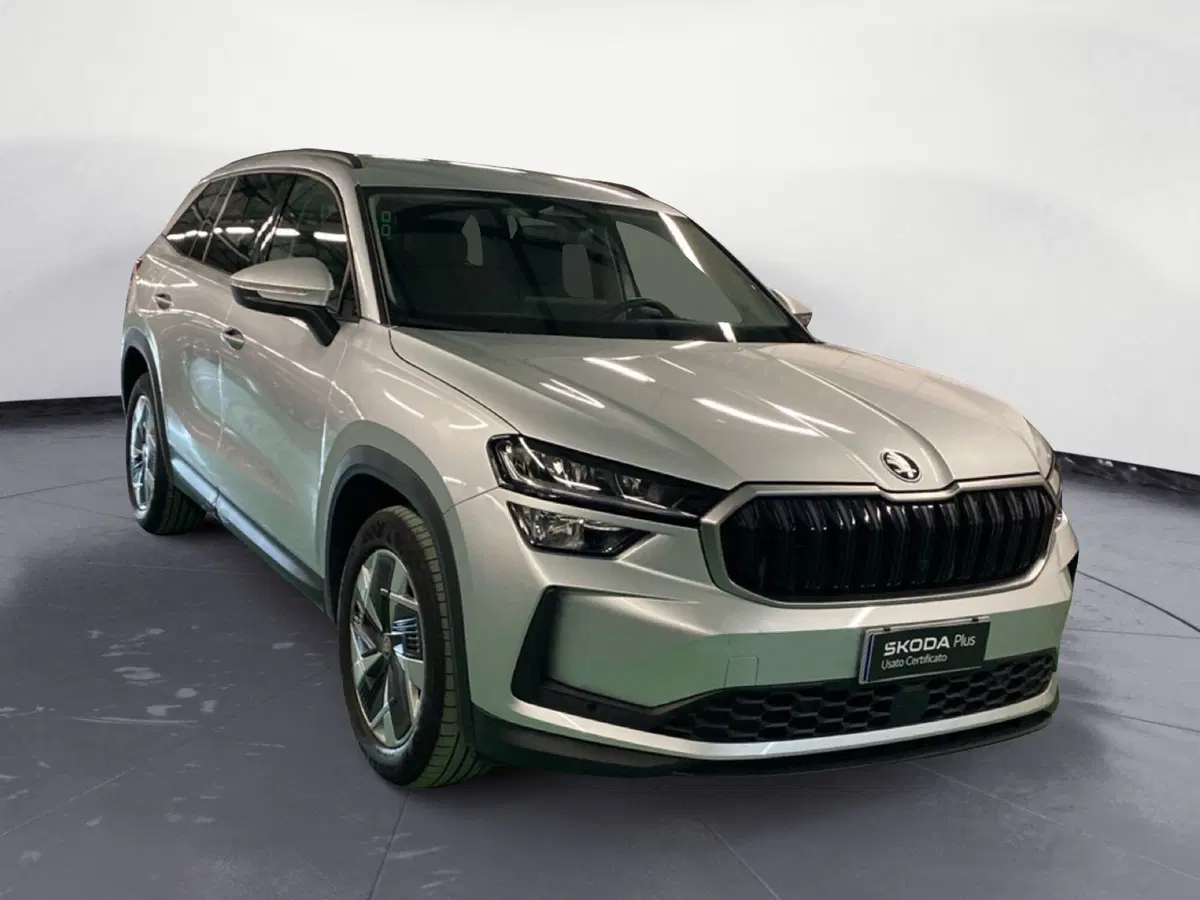 Skoda Kodiaq usata a Reggio Calabria (3)