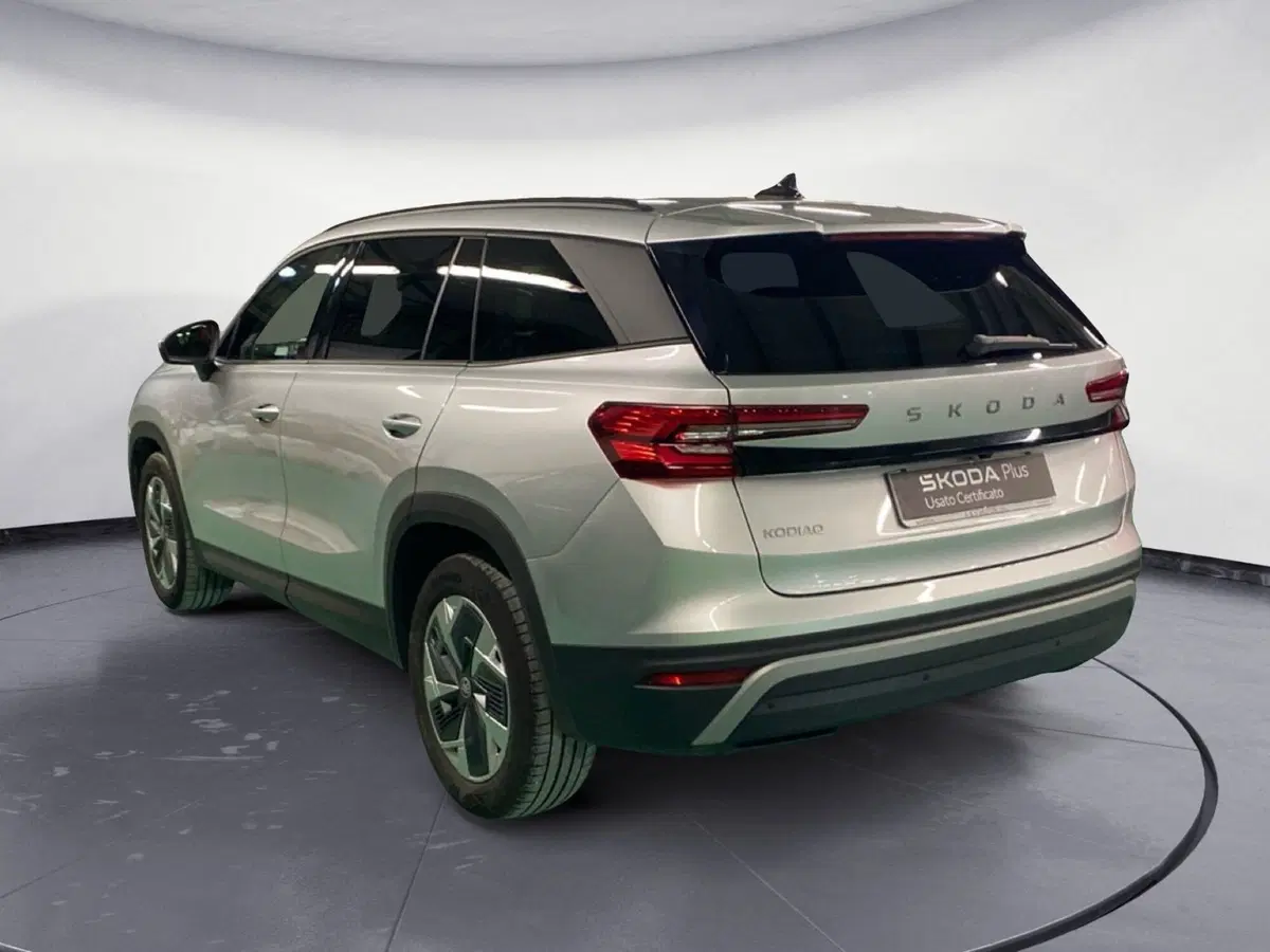 Skoda Kodiaq usata a Reggio Calabria (7)