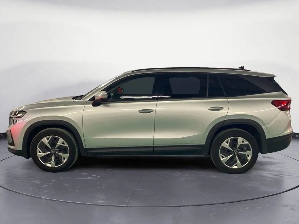 Skoda Kodiaq usata a Reggio Calabria (8)
