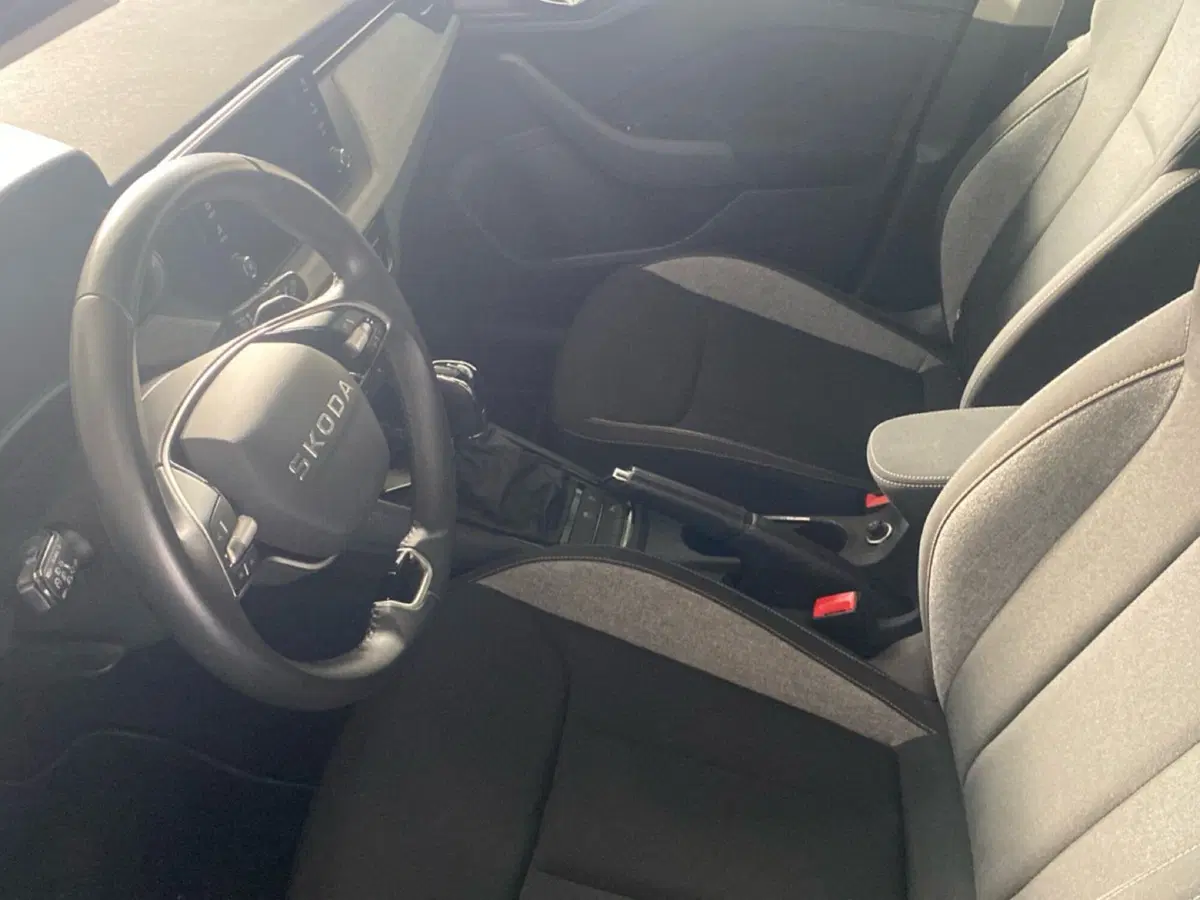 Skoda Kamiq usata a Catanzaro (15)