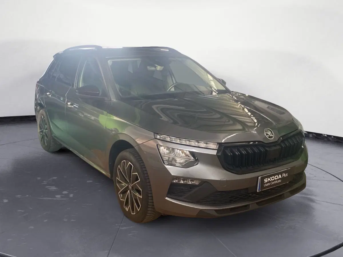 Skoda Kamiq usata a Catanzaro (3)