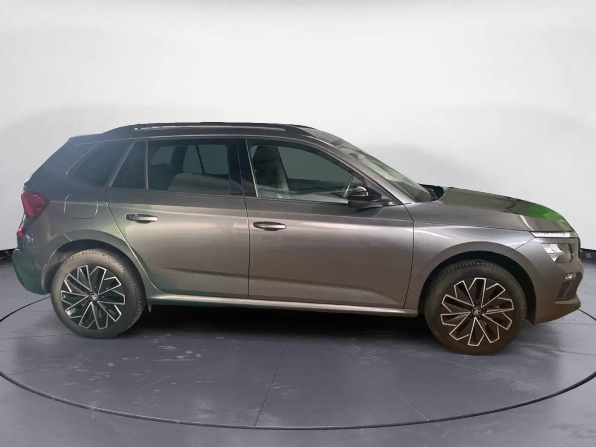 Skoda Kamiq usata a Catanzaro (4)