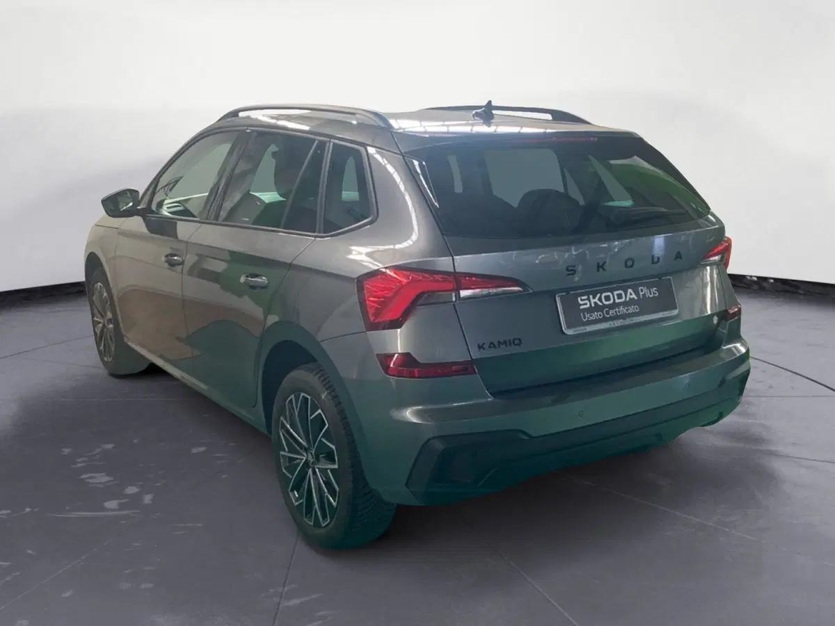 Skoda Kamiq usata a Catanzaro (7)