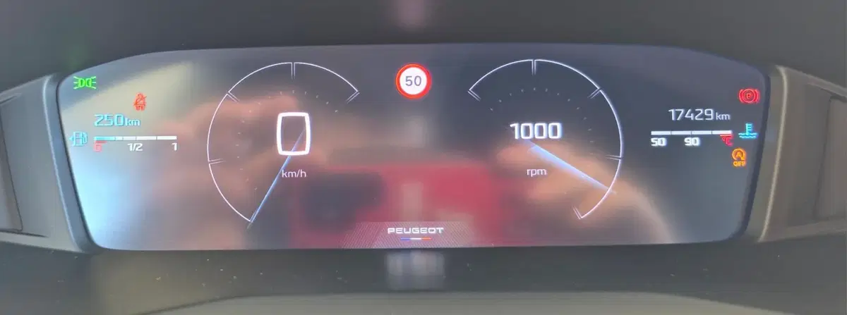Peugeot 2008 usata a Firenze (9)