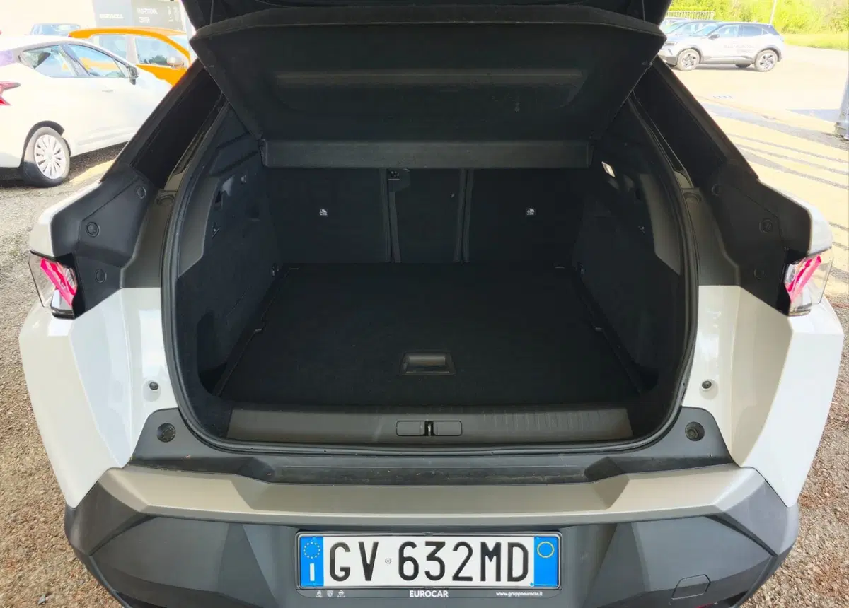 Peugeot 3008 usata a Firenze (20)