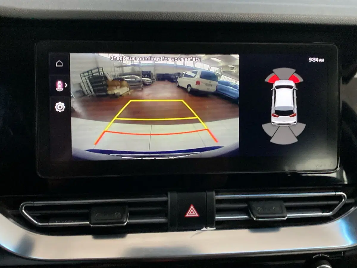 Kia Niro usata a Lodi (14)