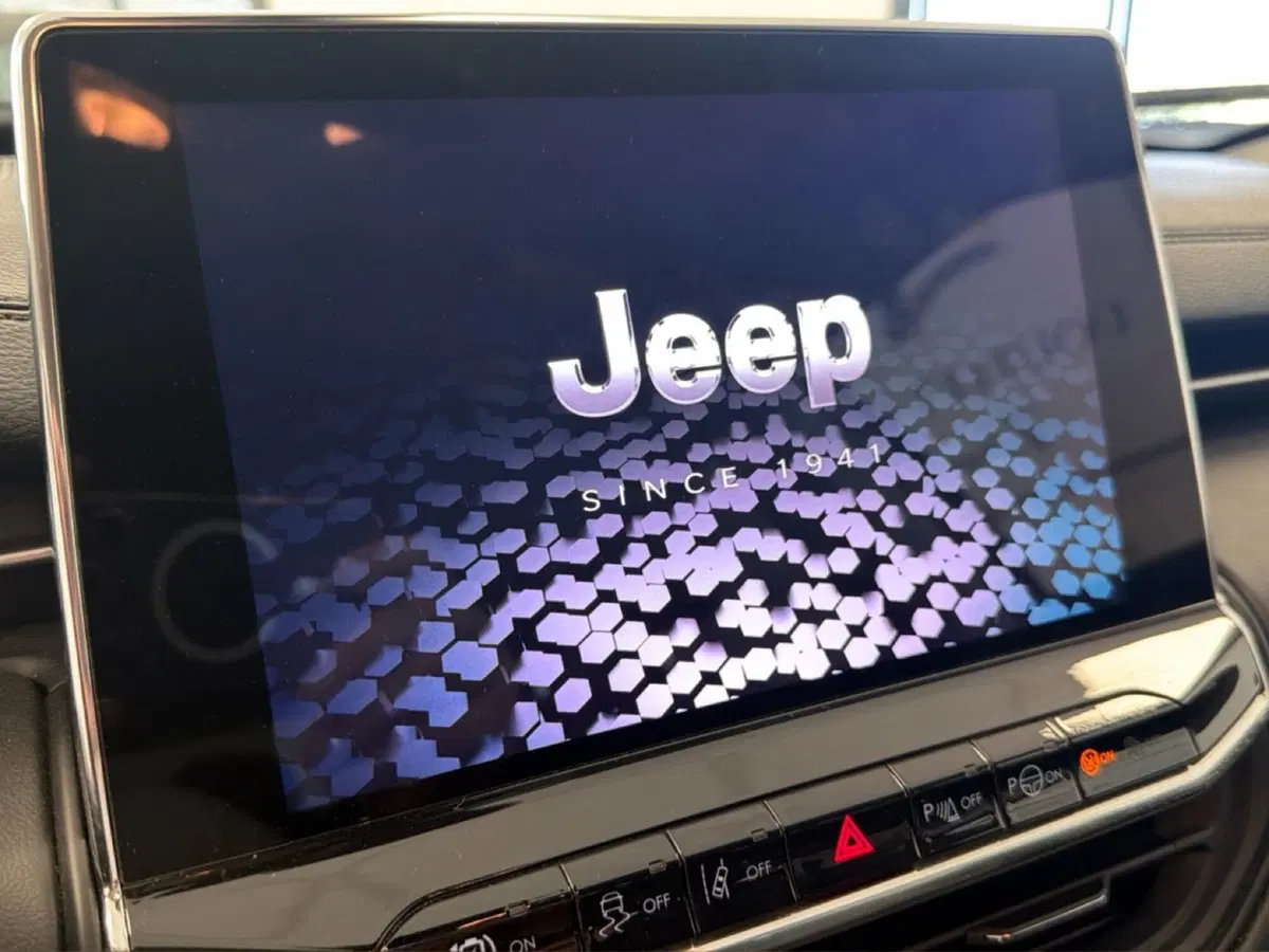 Jeep Compass usata a Palermo (14)