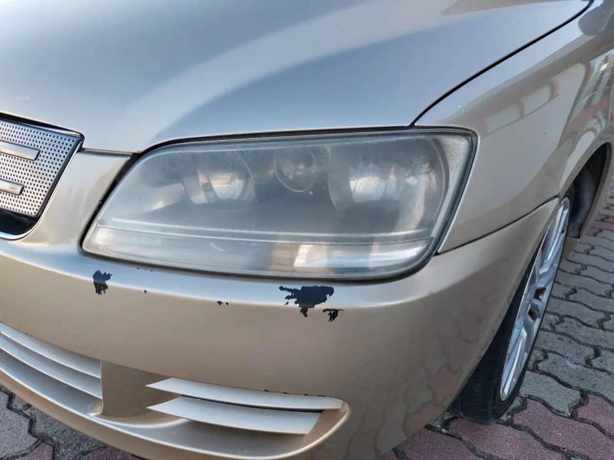 Fiat Multipla usata a Pavia (10)