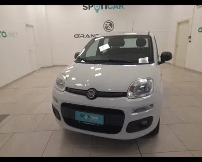 Fiat Panda 1.2 Lounge del 2017 usata a Alessandria