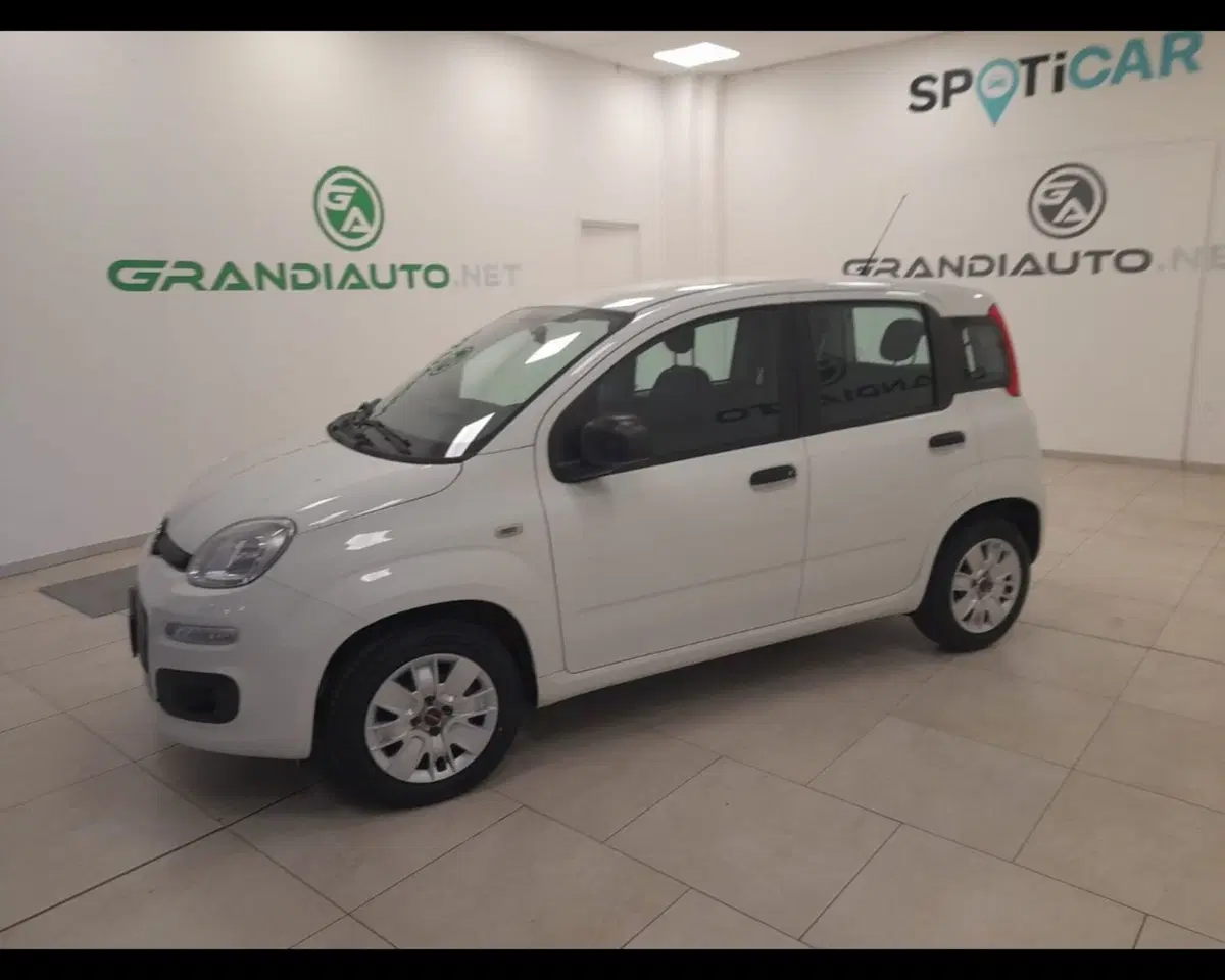 Fiat Panda usata a Alessandria (2)