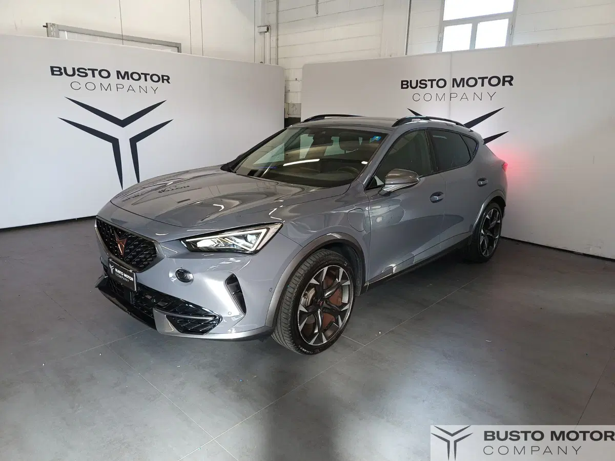 Cupra Formentor usata a Varese (3)