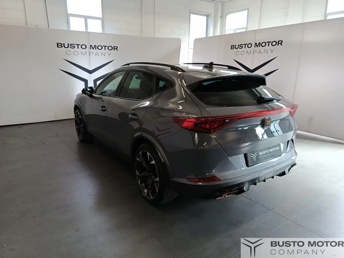 Cupra Formentor usata a Varese (6)
